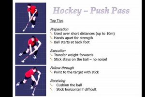 Understanding Hockey's Point System: Scoring & Standings Your Ultimate Source for Hockey Updates, Training Guides, and Equipment Recommendations Understanding Hockey's Point System: Scoring & Standings | Your Ultimate Source for Hockey Updates, Training Guides, and Equipment Recommendations