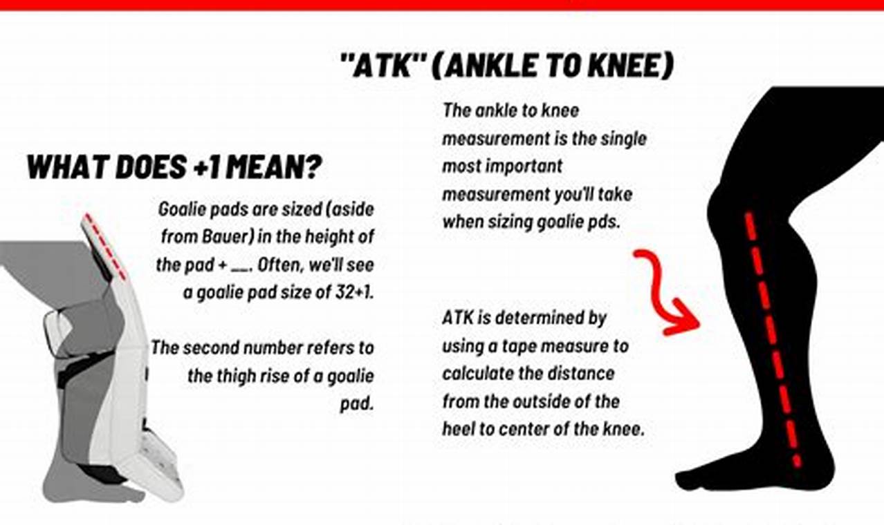 Best Hockey Goalie Dangler: Protection & Buying Guide | Your Ultimate Source for Hockey Updates, Training Guides, and Equipment Recommendations