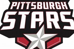 Pittsburgh Stars Hockey: The 'Burgh's Rising Stars! Safem Fabrication - Precision Engineering & Custom Manufacturing Solutions Pittsburgh Stars Hockey: The 'Burgh's Rising Stars! | Safem Fabrication - Precision Engineering & Custom Manufacturing Solutions