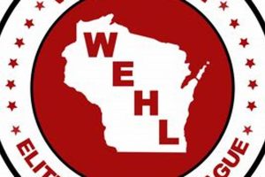 Wisconsin Elite Hockey League: The Top Tier Safem Fabrication - Precision Engineering & Custom Manufacturing Solutions Wisconsin Elite Hockey League: The Top Tier | Safem Fabrication - Precision Engineering & Custom Manufacturing Solutions