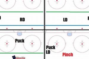 Master Hockey Defenseman Positioning: Tips & Drills Your Ultimate Source for Hockey Updates, Training Guides, and Equipment Recommendations Master Hockey Defenseman Positioning: Tips & Drills | Your Ultimate Source for Hockey Updates, Training Guides, and Equipment Recommendations
