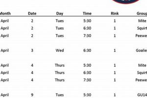 2024 Navy Ice Hockey Schedule: Game Dates & More Your Ultimate Source for Hockey Updates, Training Guides, and Equipment Recommendations 2024 Navy Ice Hockey Schedule: Game Dates & More | Your Ultimate Source for Hockey Updates, Training Guides, and Equipment Recommendations