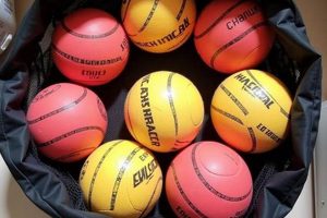 Buy Hockey Balls Bulk: Field-Ready Savings! Safem Fabrication - Precision Engineering & Custom Manufacturing Solutions Buy Hockey Balls Bulk: Field-Ready Savings! | Safem Fabrication - Precision Engineering & Custom Manufacturing Solutions