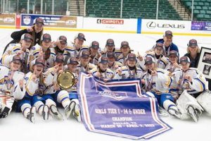 Guide to D3 Hockey MN: Teams, Players & More! Your Ultimate Source for Hockey Updates, Training Guides, and Equipment Recommendations Guide to D3 Hockey MN: Teams, Players & More! | Your Ultimate Source for Hockey Updates, Training Guides, and Equipment Recommendations