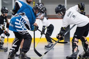 Find: Men's Hockey League Near Me Tonight! Safem Fabrication - Precision Engineering & Custom Manufacturing Solutions Find: Men's Hockey League Near Me Tonight! | Safem Fabrication - Precision Engineering & Custom Manufacturing Solutions