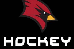 Saginaw Valley State Hockey: Cardinals on Ice & More Safem Fabrication - Precision Engineering & Custom Manufacturing Solutions Saginaw Valley State Hockey: Cardinals on Ice & More | Safem Fabrication - Precision Engineering & Custom Manufacturing Solutions
