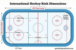 Ice Matters: How Thick Is Hockey Rink Ice, Really? Safem Fabrication - Precision Engineering & Custom Manufacturing Solutions Ice Matters: How Thick Is Hockey Rink Ice, Really? | Safem Fabrication - Precision Engineering & Custom Manufacturing Solutions