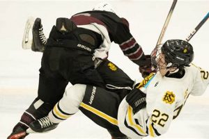 McQuaid Hockey: Knights On Ice - Prep Hockey Safem Fabrication - Precision Engineering & Custom Manufacturing Solutions McQuaid Hockey: Knights On Ice - Prep Hockey | Safem Fabrication - Precision Engineering & Custom Manufacturing Solutions