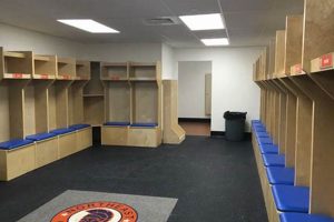 Team's Hockey Lockers: Gear Storage & Organization Safem Fabrication - Precision Engineering & Custom Manufacturing Solutions Team's Hockey Lockers: Gear Storage & Organization | Safem Fabrication - Precision Engineering & Custom Manufacturing Solutions