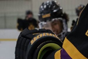 UAlbany Ice Hockey: Great Dane Hockey on Ice! Your Ultimate Source for Hockey Updates, Training Guides, and Equipment Recommendations UAlbany Ice Hockey: Great Dane Hockey on Ice! | Your Ultimate Source for Hockey Updates, Training Guides, and Equipment Recommendations