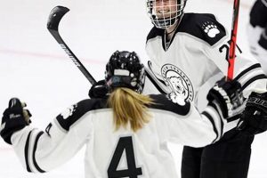 Polar Bear Power: Bowdoin Women's Ice Hockey Excellence! Safem Fabrication - Precision Engineering & Custom Manufacturing Solutions Polar Bear Power: Bowdoin Women's Ice Hockey Excellence! | Safem Fabrication - Precision Engineering & Custom Manufacturing Solutions
