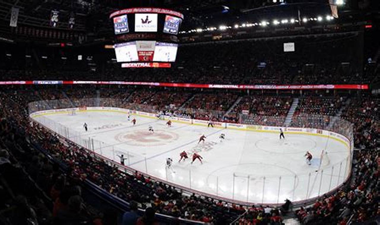 Top Best Hockey Arenas: A Fan's Guide & More Your Ultimate Source for Hockey Updates, Training Guides, and Equipment Recommendations Top Best Hockey Arenas: A Fan's Guide & More | Your Ultimate Source for Hockey Updates, Training Guides, and Equipment Recommendations