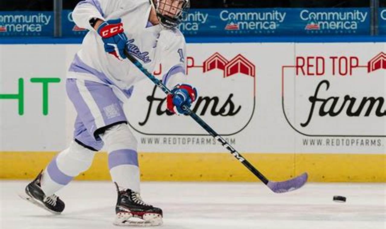 Guide to ACHA D3 Hockey: Teams, Rules & More! Your Ultimate Source for Hockey Updates, Training Guides, and Equipment Recommendations Guide to ACHA D3 Hockey: Teams, Rules & More! | Your Ultimate Source for Hockey Updates, Training Guides, and Equipment Recommendations