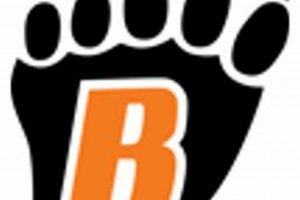 White Bear Youth Hockey: Your Guide to League & Teams Your Ultimate Source for Hockey Updates, Training Guides, and Equipment Recommendations White Bear Youth Hockey: Your Guide to League & Teams | Your Ultimate Source for Hockey Updates, Training Guides, and Equipment Recommendations