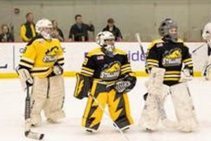Chicago Stallions Hockey: Top Team & Info Your Ultimate Source for Hockey Updates, Training Guides, and Equipment Recommendations Chicago Stallions Hockey: Top Team & Info | Your Ultimate Source for Hockey Updates, Training Guides, and Equipment Recommendations