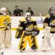 Chicago Stallions Hockey: Top Team &amp; Info | Your Ultimate Source for Hockey Updates, Training Guides, and Equipment Recommendations