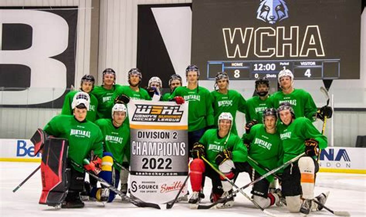 Find Your Best Summer Hockey League Now! Your Ultimate Source for Hockey Updates, Training Guides, and Equipment Recommendations Find Your Best Summer Hockey League Now! | Your Ultimate Source for Hockey Updates, Training Guides, and Equipment Recommendations