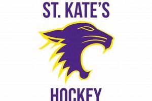 St. Kate's Women's Hockey: A Winning Tradition Safem Fabrication - Precision Engineering & Custom Manufacturing Solutions St. Kate's Women's Hockey: A Winning Tradition | Safem Fabrication - Precision Engineering & Custom Manufacturing Solutions
