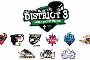 Your Ultimate District 3 Hockey Guide - Teams & More! Your Ultimate Source for Hockey Updates, Training Guides, and Equipment Recommendations Your Ultimate District 3 Hockey Guide - Teams & More! | Your Ultimate Source for Hockey Updates, Training Guides, and Equipment Recommendations