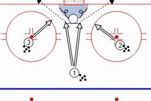 Top Goalie Drills for Hockey: Skills & Training Tips Your Ultimate Source for Hockey Updates, Training Guides, and Equipment Recommendations Top Goalie Drills for Hockey: Skills & Training Tips | Your Ultimate Source for Hockey Updates, Training Guides, and Equipment Recommendations