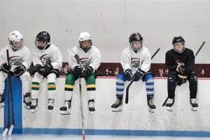 Elite Shattuck Hockey Camp: Skills & Prep Your Ultimate Source for Hockey Updates, Training Guides, and Equipment Recommendations Elite Shattuck Hockey Camp: Skills & Prep | Your Ultimate Source for Hockey Updates, Training Guides, and Equipment Recommendations