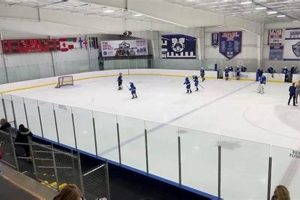 Seton Hall Hockey: Pirates on Ice | University Guide Your Ultimate Source for Hockey Updates, Training Guides, and Equipment Recommendations Seton Hall Hockey: Pirates on Ice | University Guide | Your Ultimate Source for Hockey Updates, Training Guides, and Equipment Recommendations