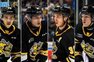 Learn Sting Hockey: Drills, Skills & More! Your Ultimate Source for Hockey Updates, Training Guides, and Equipment Recommendations Learn Sting Hockey: Drills, Skills & More! | Your Ultimate Source for Hockey Updates, Training Guides, and Equipment Recommendations