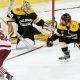 Understanding du hockey vs cc: Models Compared | Your Ultimate Source for Hockey Updates, Training Guides, and Equipment Recommendations