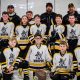 Waupun Youth Hockey: Skills, Teamwork, &amp; Fun! | Your Ultimate Source for Hockey Updates, Training Guides, and Equipment Recommendations