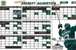 2024-2025 Everett Silvertips Hockey Schedule: Dates & Times Your Ultimate Source for Hockey Updates, Training Guides, and Equipment Recommendations 2024-2025 Everett Silvertips Hockey Schedule: Dates & Times | Your Ultimate Source for Hockey Updates, Training Guides, and Equipment Recommendations