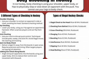 Ice Hockey: What is Checking? Explained + Tips Your Ultimate Source for Hockey Updates, Training Guides, and Equipment Recommendations Ice Hockey: What is Checking? Explained + Tips | Your Ultimate Source for Hockey Updates, Training Guides, and Equipment Recommendations