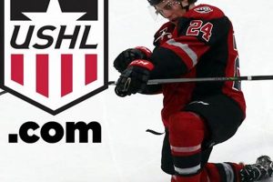 Chicago Steel Hockey Schedule 2024: Dates & More Your Ultimate Source for Hockey Updates, Training Guides, and Equipment Recommendations Chicago Steel Hockey Schedule 2024: Dates & More | Your Ultimate Source for Hockey Updates, Training Guides, and Equipment Recommendations
