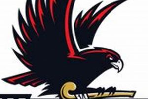 Dominate the Field: Warhawks Field Hockey Power! Your Ultimate Source for Hockey Updates, Training Guides, and Equipment Recommendations Dominate the Field: Warhawks Field Hockey Power! | Your Ultimate Source for Hockey Updates, Training Guides, and Equipment Recommendations