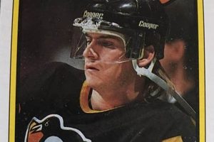 Buy 1990 Topps Hockey Cards: Values & Complete Set Guide Your Ultimate Source for Hockey Updates, Training Guides, and Equipment Recommendations Buy 1990 Topps Hockey Cards: Values & Complete Set Guide | Your Ultimate Source for Hockey Updates, Training Guides, and Equipment Recommendations