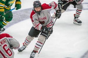 Potsdam Men's Hockey: Bears Ice Hockey Guide & News Your Ultimate Source for Hockey Updates, Training Guides, and Equipment Recommendations Potsdam Men's Hockey: Bears Ice Hockey Guide & News | Your Ultimate Source for Hockey Updates, Training Guides, and Equipment Recommendations