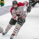 Potsdam Men's Hockey: Bears Ice Hockey Guide & News | Your Ultimate Source for Hockey Updates, Training Guides, and Equipment Recommendations