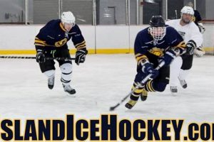 Find Top Hockey Leagues on Long Island: 2024 Guide Your Ultimate Source for Hockey Updates, Training Guides, and Equipment Recommendations Find Top Hockey Leagues on Long Island: 2024 Guide | Your Ultimate Source for Hockey Updates, Training Guides, and Equipment Recommendations