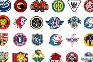 Latest Swiss Hockey League Standings: Updated Scores & More Your Ultimate Source for Hockey Updates, Training Guides, and Equipment Recommendations Latest Swiss Hockey League Standings: Updated Scores & More | Your Ultimate Source for Hockey Updates, Training Guides, and Equipment Recommendations