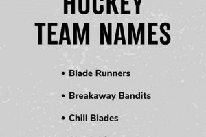 Best Clever Hockey Names: A-League to Pro Your Ultimate Source for Hockey Updates, Training Guides, and Equipment Recommendations Best Clever Hockey Names: A-League to Pro | Your Ultimate Source for Hockey Updates, Training Guides, and Equipment Recommendations