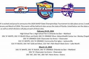 Florida Hockey League: Statewide Teams & More! Your Ultimate Source for Hockey Updates, Training Guides, and Equipment Recommendations Florida Hockey League: Statewide Teams & More! | Your Ultimate Source for Hockey Updates, Training Guides, and Equipment Recommendations