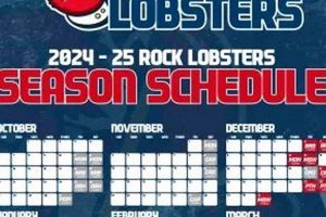 Get Your Rock Lobsters Hockey Schedule: Dates & Details Your Ultimate Source for Hockey Updates, Training Guides, and Equipment Recommendations Get Your Rock Lobsters Hockey Schedule: Dates & Details | Your Ultimate Source for Hockey Updates, Training Guides, and Equipment Recommendations