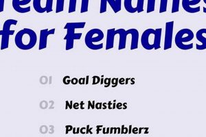 Top Awesome Fantasy Hockey Team Names [2024 Ideas] | Your Ultimate Source for Hockey Updates, Training Guides, and Equipment Recommendations
