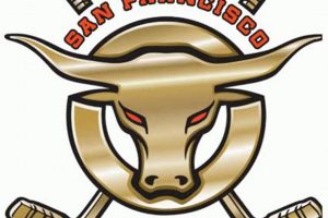 San Francisco Bulls Hockey: A Frisco Hockey Story Your Ultimate Source for Hockey Updates, Training Guides, and Equipment Recommendations San Francisco Bulls Hockey: A Frisco Hockey Story | Your Ultimate Source for Hockey Updates, Training Guides, and Equipment Recommendations