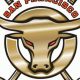 San Francisco Bulls Hockey: A Frisco Hockey Story | Your Ultimate Source for Hockey Updates, Training Guides, and Equipment Recommendations