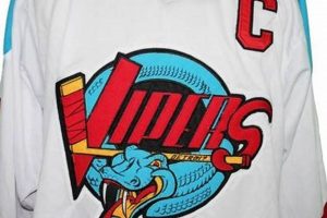 Vintage Detroit Vipers Jersey: A Hockey History Treasure! Your Ultimate Source for Hockey Updates, Training Guides, and Equipment Recommendations Vintage Detroit Vipers Jersey: A Hockey History Treasure! | Your Ultimate Source for Hockey Updates, Training Guides, and Equipment Recommendations