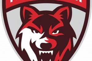 Montana Wolves Hockey: Your Guide & More! Your Ultimate Source for Hockey Updates, Training Guides, and Equipment Recommendations Montana Wolves Hockey: Your Guide & More! | Your Ultimate Source for Hockey Updates, Training Guides, and Equipment Recommendations