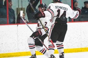 Lakeville North Hockey: Panthers on Ice - MN High School Your Ultimate Source for Hockey Updates, Training Guides, and Equipment Recommendations Lakeville North Hockey: Panthers on Ice - MN High School | Your Ultimate Source for Hockey Updates, Training Guides, and Equipment Recommendations