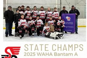 Sauk Prairie Youth Hockey: Develop Skills & Thrive! Your Ultimate Source for Hockey Updates, Training Guides, and Equipment Recommendations Sauk Prairie Youth Hockey: Develop Skills & Thrive! | Your Ultimate Source for Hockey Updates, Training Guides, and Equipment Recommendations