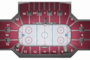 Best Western Michigan Hockey Tickets: Deals & Availability Your Ultimate Source for Hockey Updates, Training Guides, and Equipment Recommendations Best Western Michigan Hockey Tickets: Deals & Availability | Your Ultimate Source for Hockey Updates, Training Guides, and Equipment Recommendations