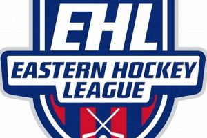 Latest EHL Hockey Standings | 2024 Season Updates Your Ultimate Source for Hockey Updates, Training Guides, and Equipment Recommendations Latest EHL Hockey Standings | 2024 Season Updates | Your Ultimate Source for Hockey Updates, Training Guides, and Equipment Recommendations
